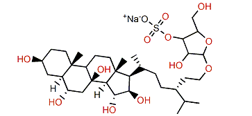 Asterosaponin P2